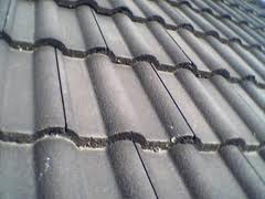 painting concrete tiled roof